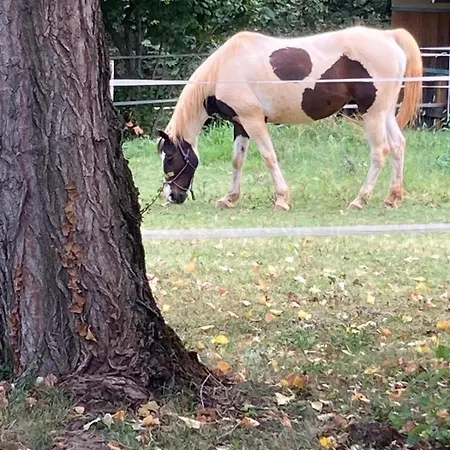 Il Girasole Appartement Bricherasio