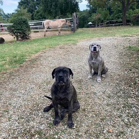 Appartement Il Girasole